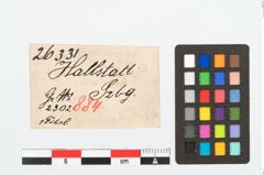 Etikett zu Bronzekahnfibel (NHMW-PRAE-026331)
